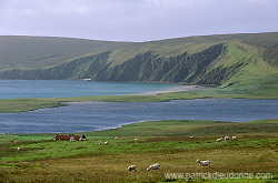 Fetlar, Shetland © Patrick Dieudonné Photo, www.patrickdieudonne.com, all rights reserved